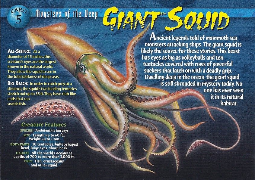 Giant_Squid_front