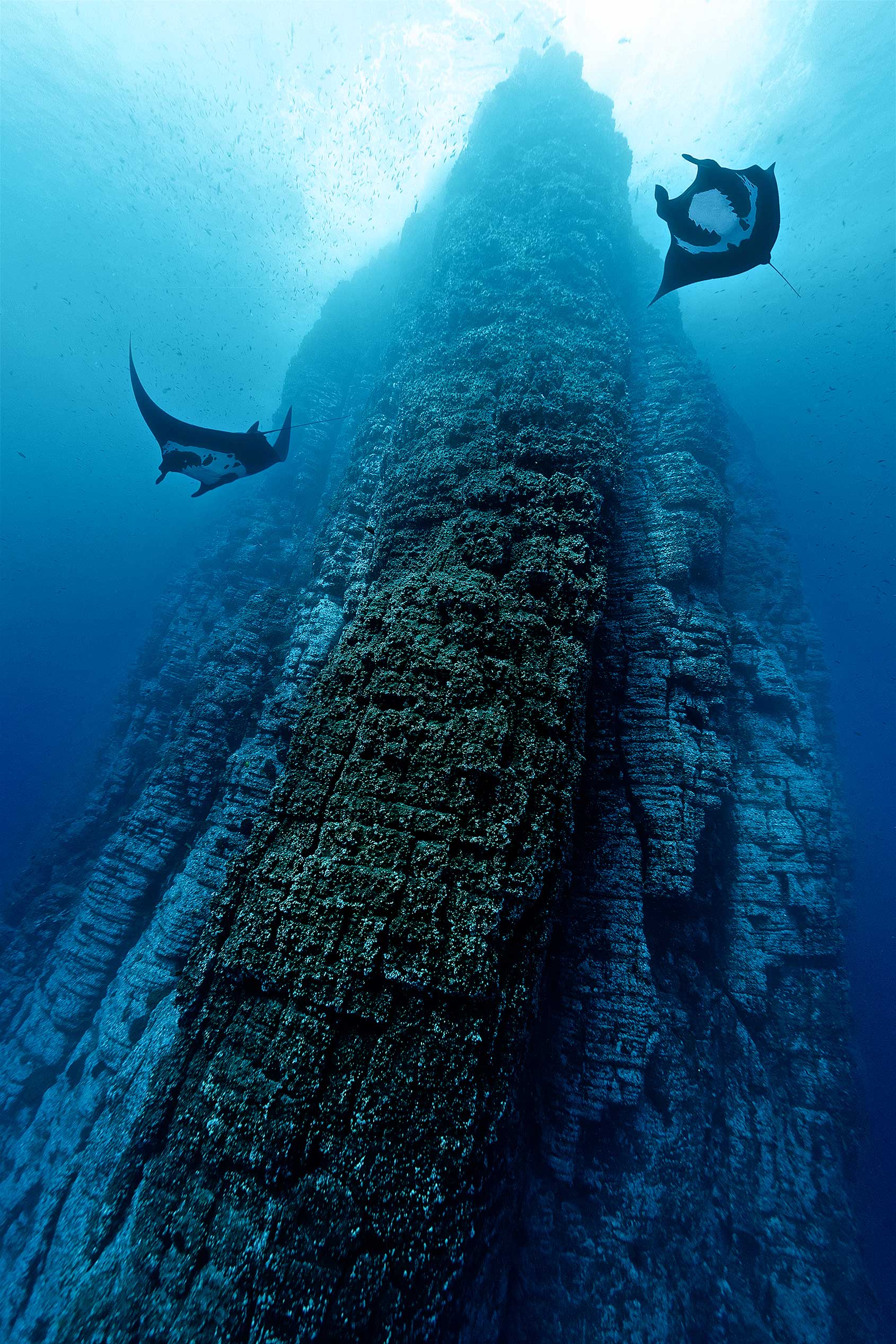 Тайны океана документальные. Океаны. Глубина. Океанские глубины. Жизнь на дне океана. Подводные глубины.