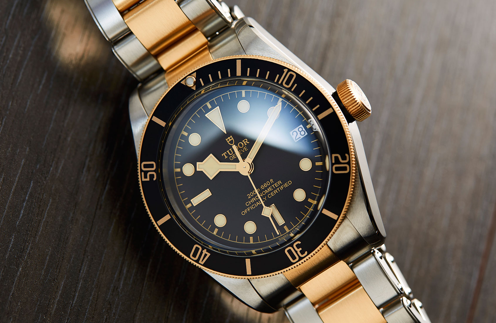 tudor heritage black bay s&g 79733n