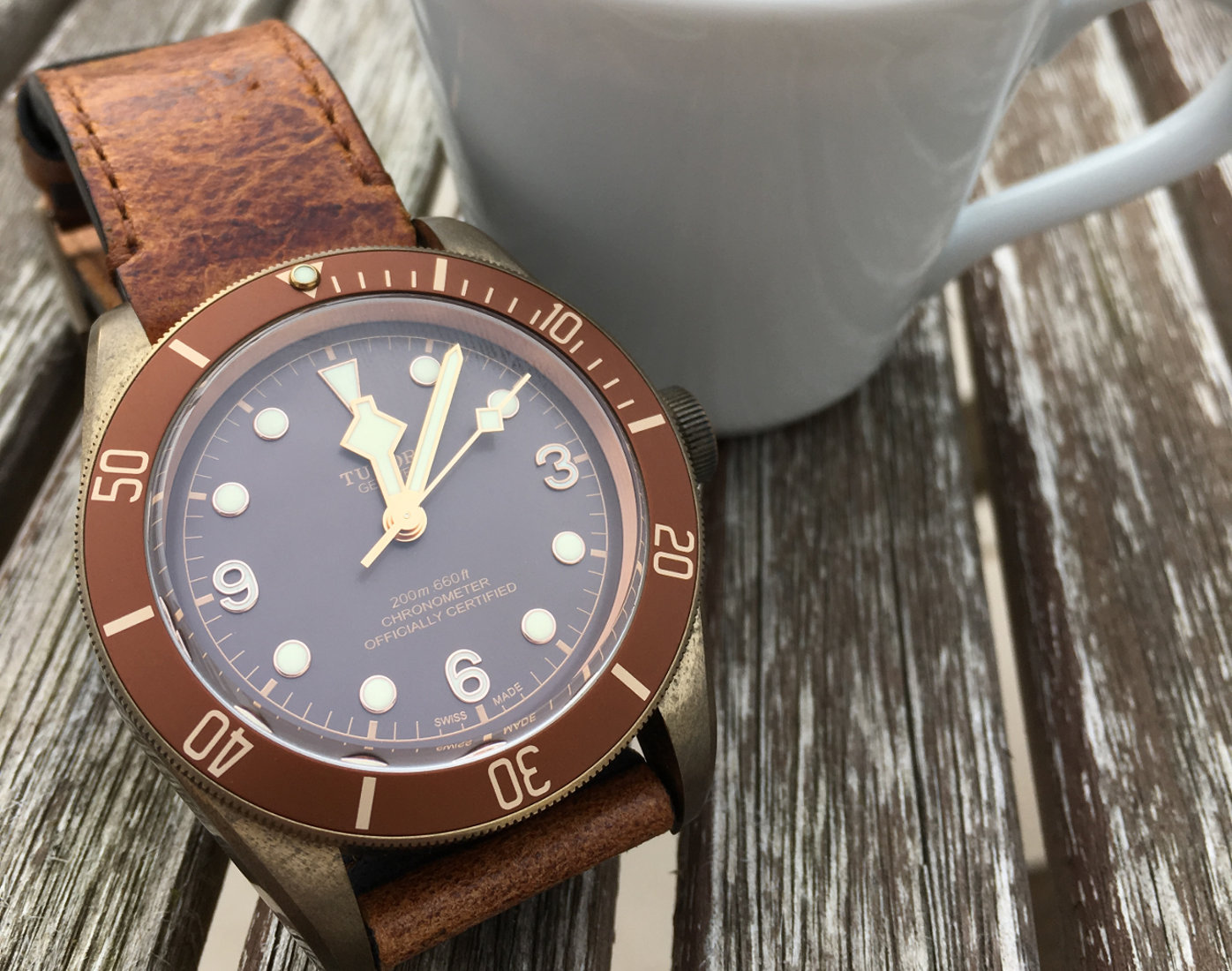 Tudor black bay clearance bronze