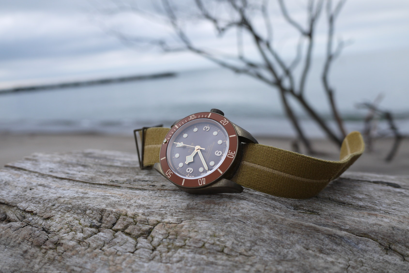 Tudor black bay hot sale bronze replacement strap