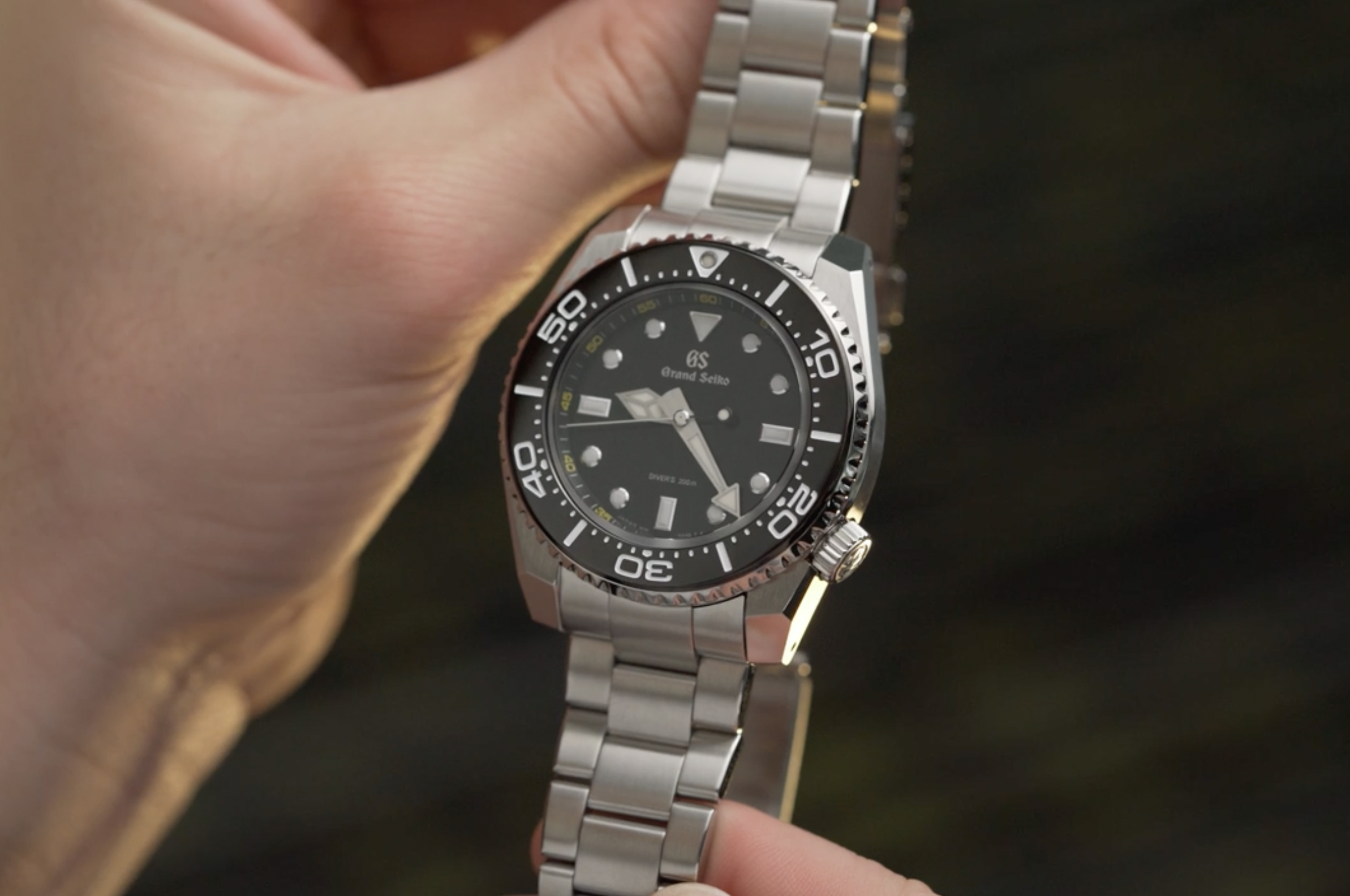 Grand seiko hot sale quartz diver