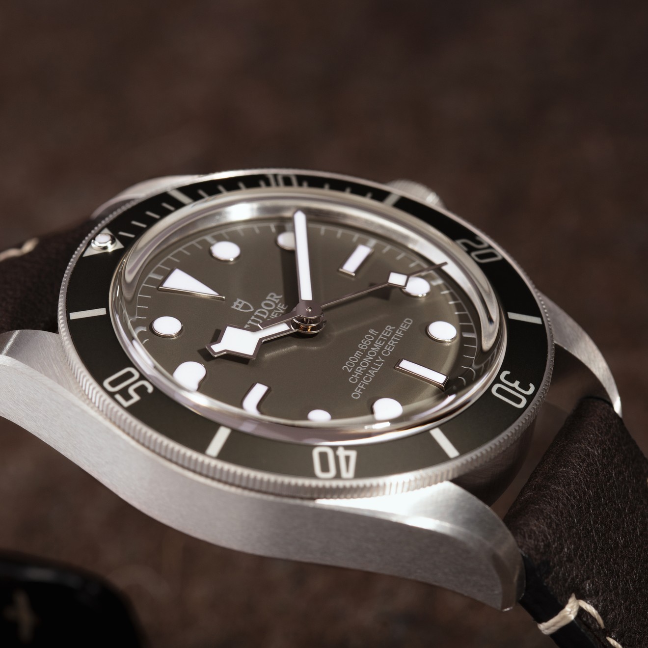 tudor watch silver