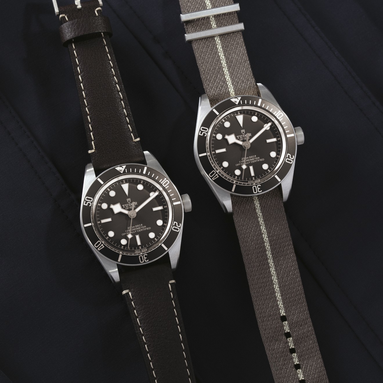 INTRODUCING The Tudor Black Bay 58 925 in Silver (not steel!)