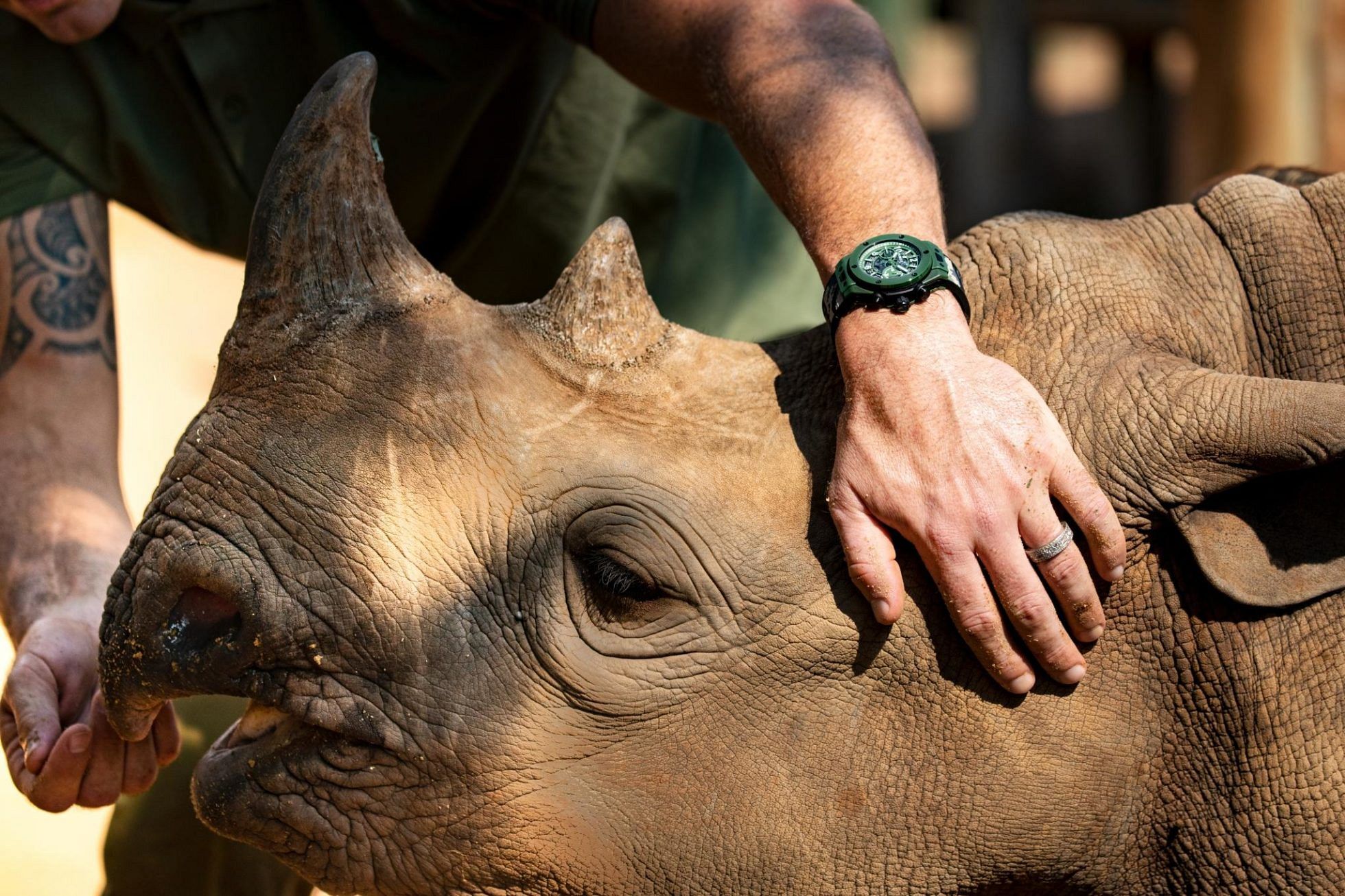 Kevin Pietersen on saving rhinos and the Hublot Big Bang Unico SORAI