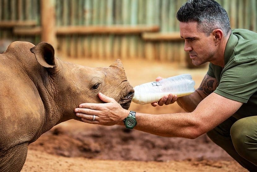 Leading the charge: Kevin Pietersen on saving rhinos and the Hublot Big Bang Unico SORAI