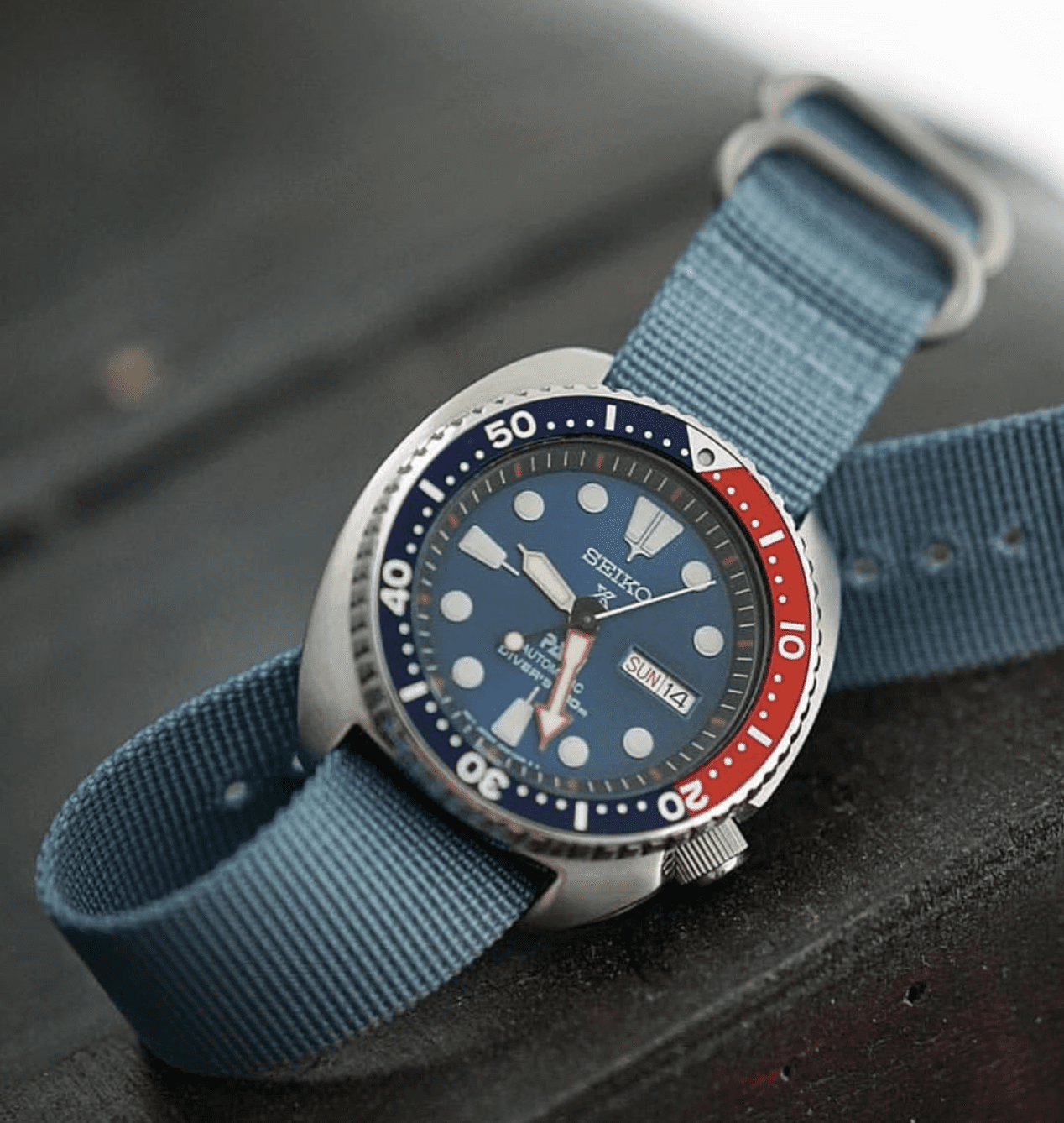 Seiko padi hot sale turtle review