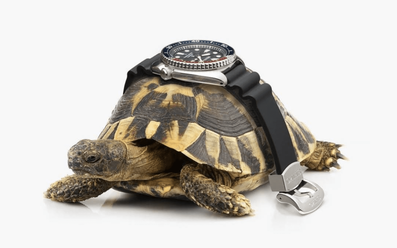 THE ICONS: The Seiko Turtle combines bullet-proof reliability with a bargain price