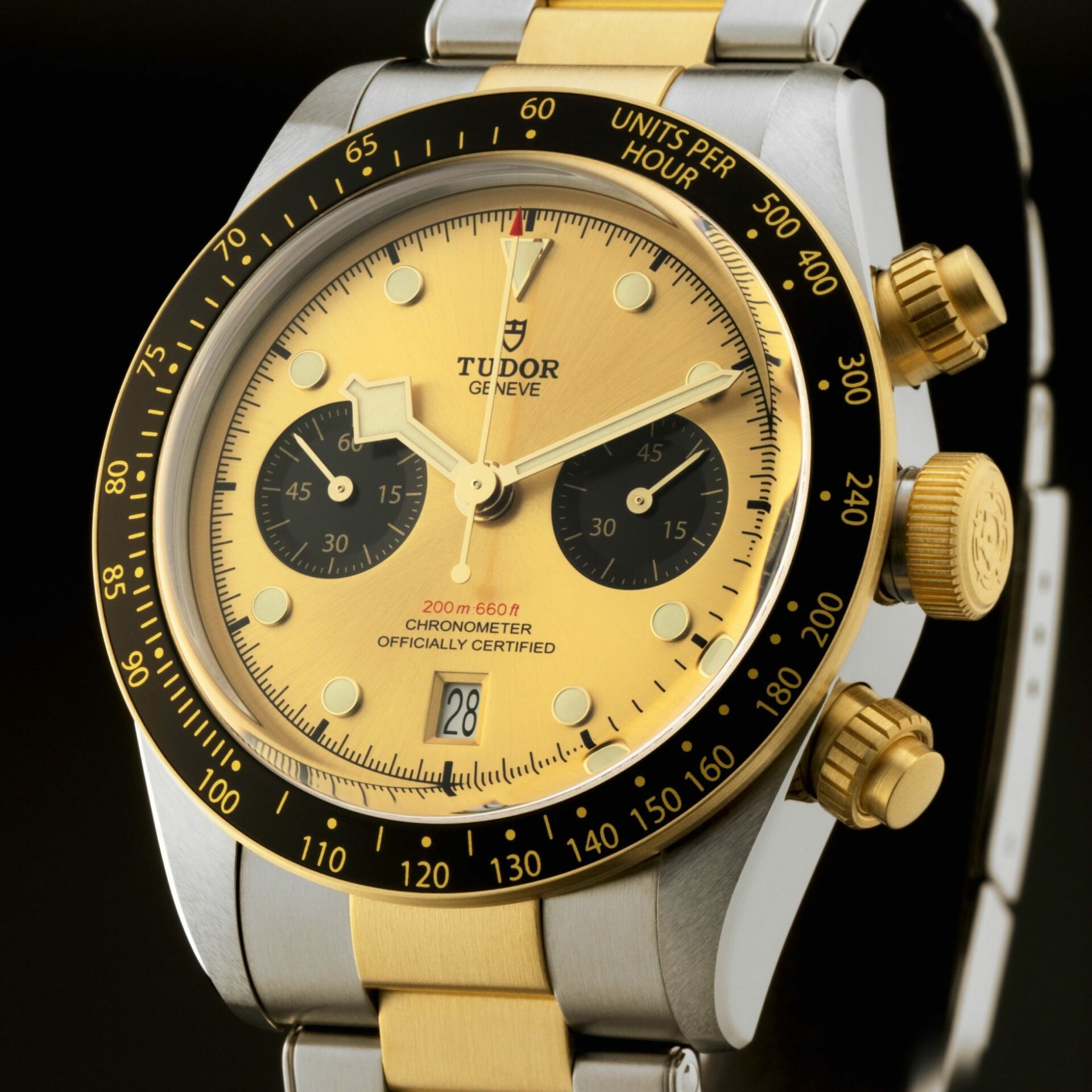 Tudor collection overview