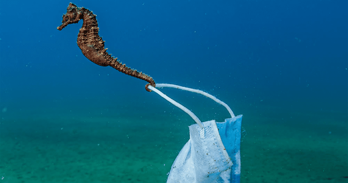 Blancpain wants you to know that it’s World Oceans Day