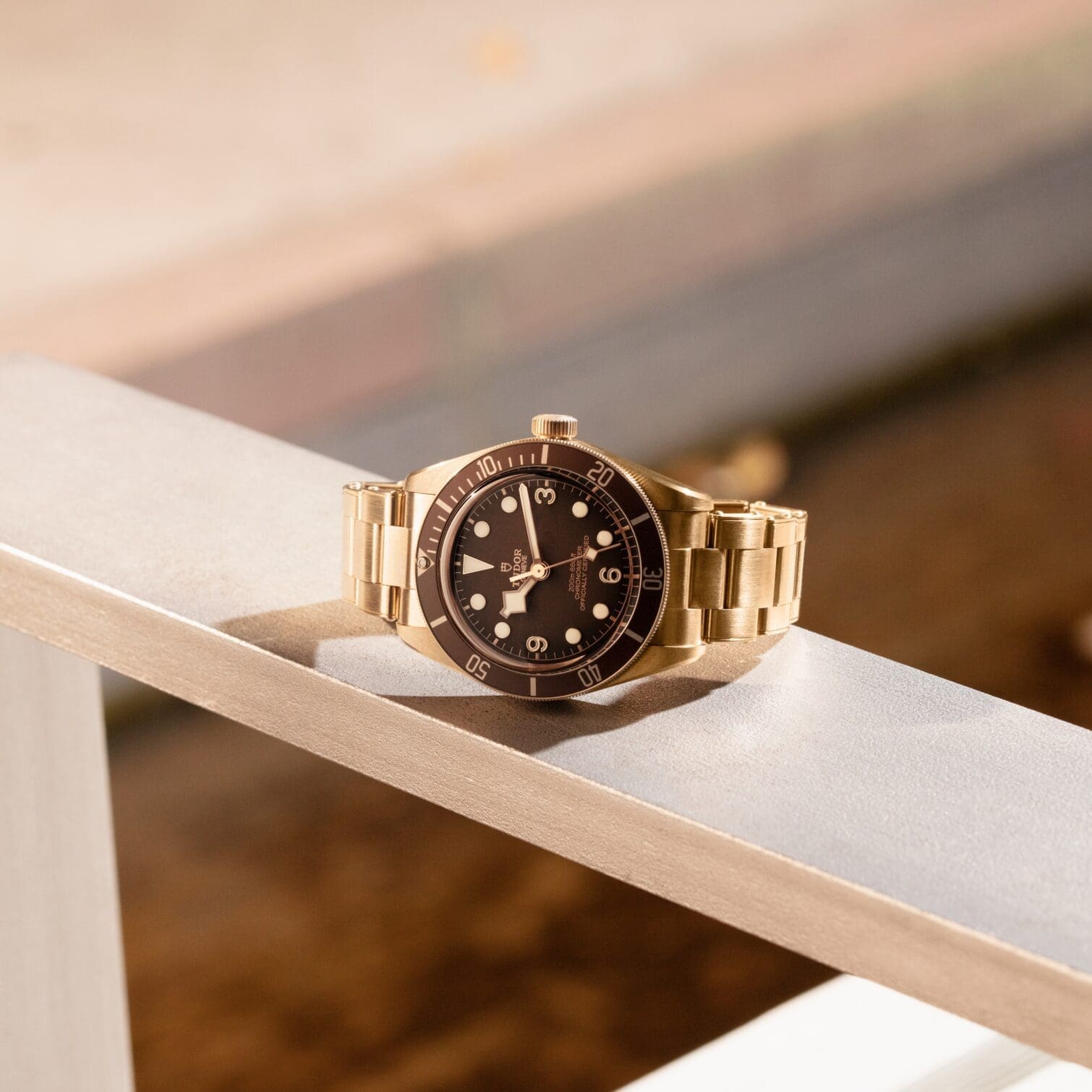 A Tudor Black Bay Bronze 58 became my milestone watch to celebrate taking charge of my mental health
