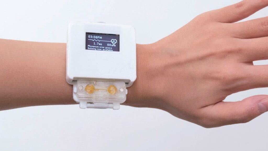 Meet my pet watch: Scientists create living smartwatch powered by slime