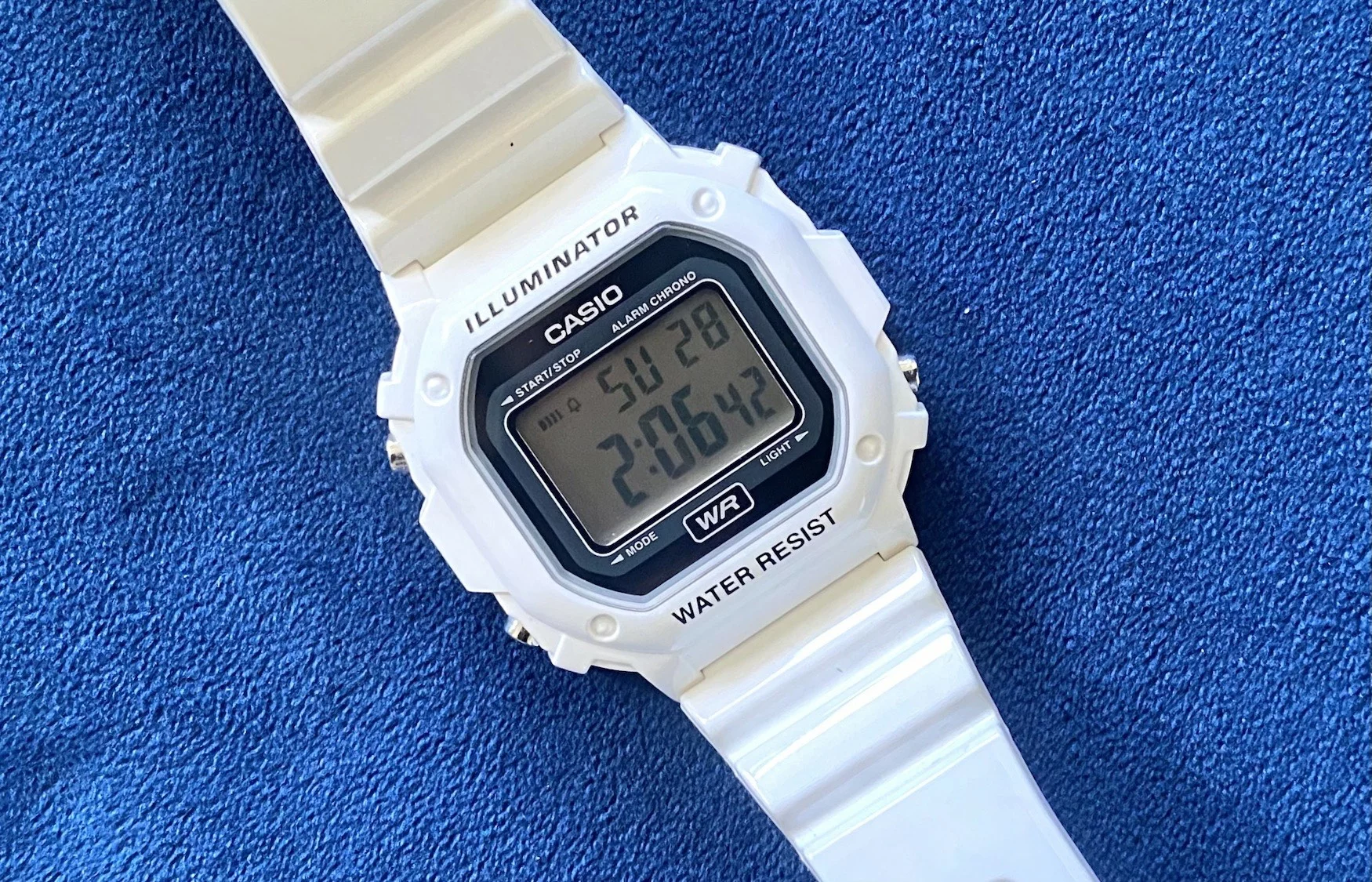 Casio illuminator blue best sale