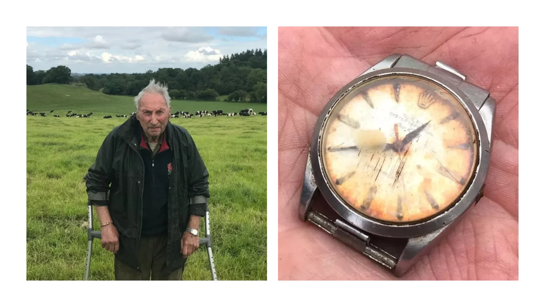 Poo-tina: UK farmer unearths lost Rolex Air-King eaten by his cow 50 years ago