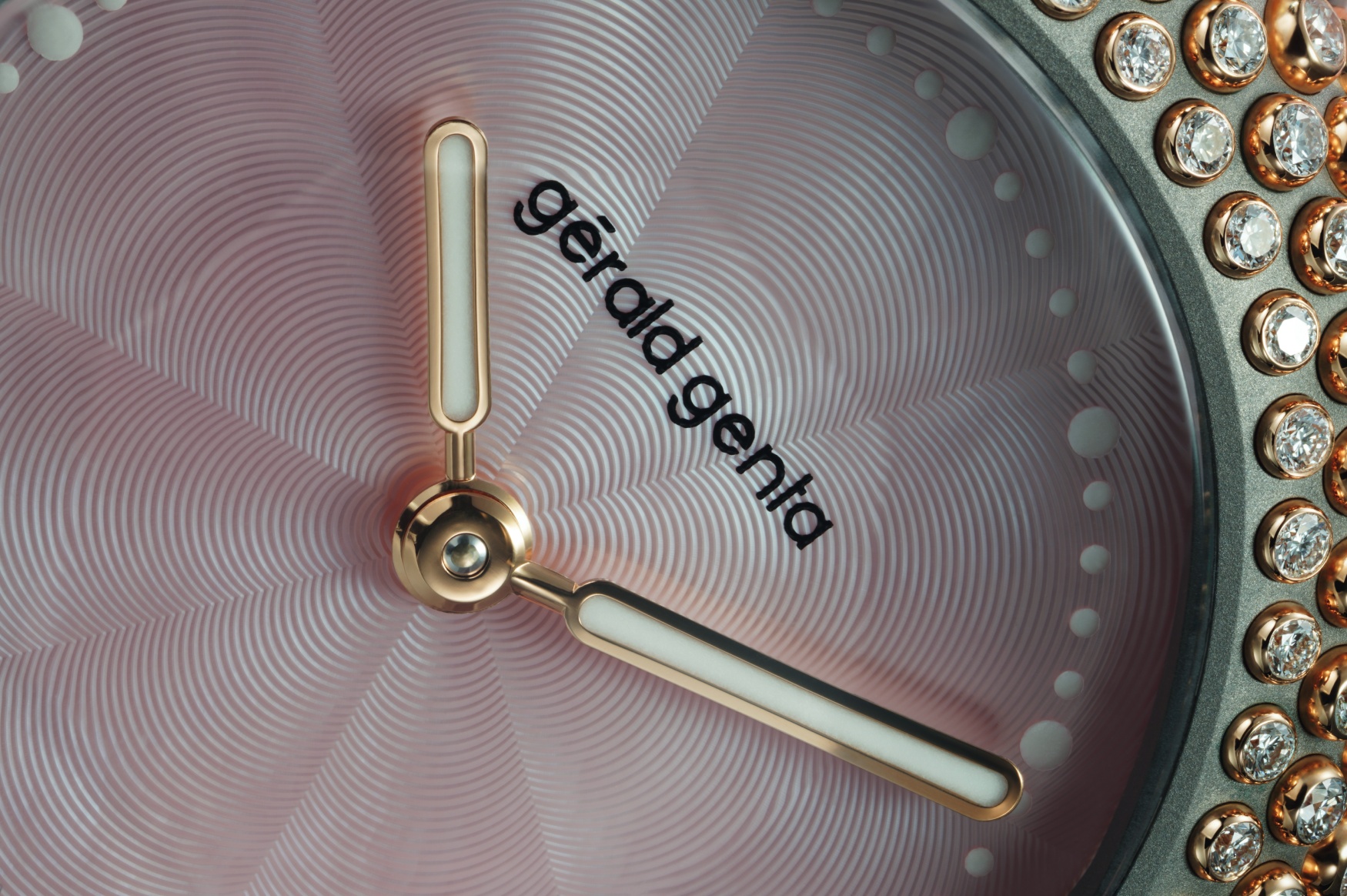 gerald genta gentissima oursin pink dial close up