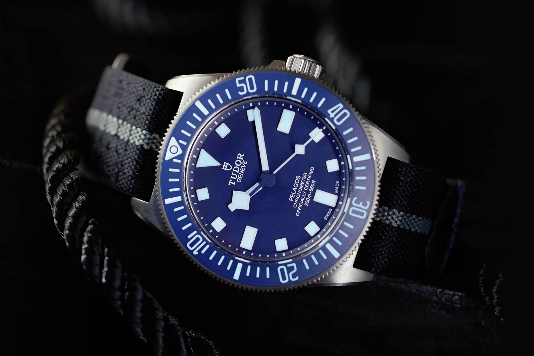 Tudor Pelagos FXD Titanium