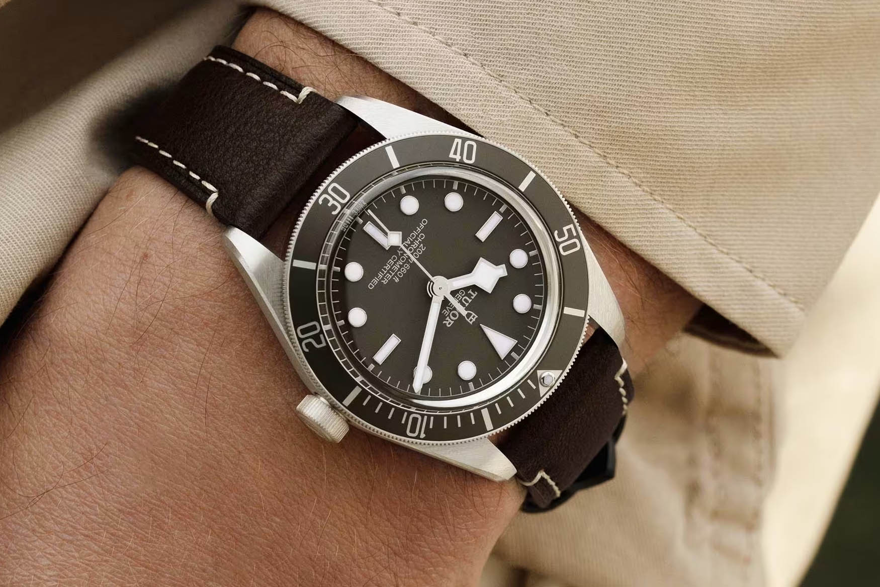 Tudor Black Bay 58 925 Wristshot