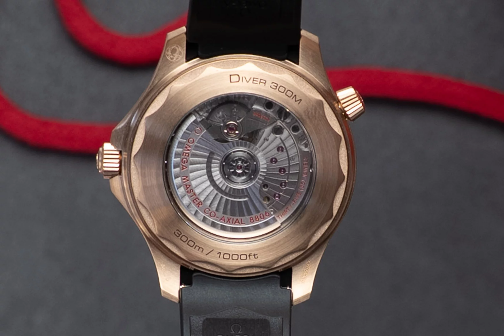 Omega Seamaster 300M Bronze Gold and Burgundy | HANDS ON