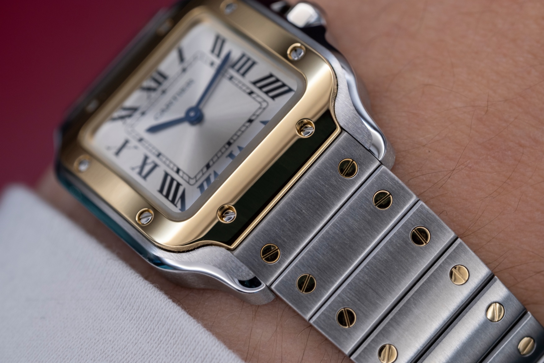 Cartier Santos de Carties Mall Tone Case Close-up