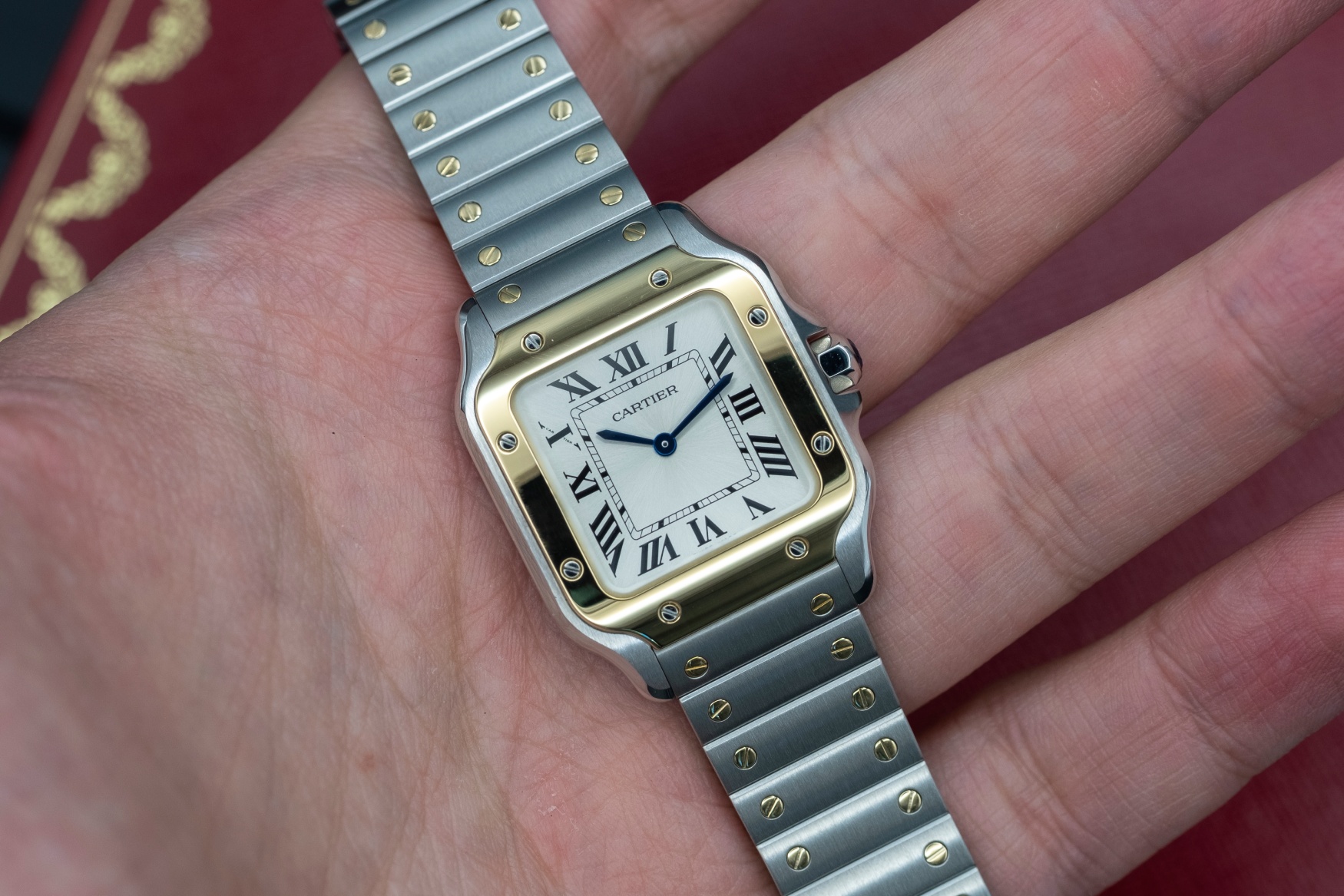 Cartier Santos de Carties Mall Tone Dial