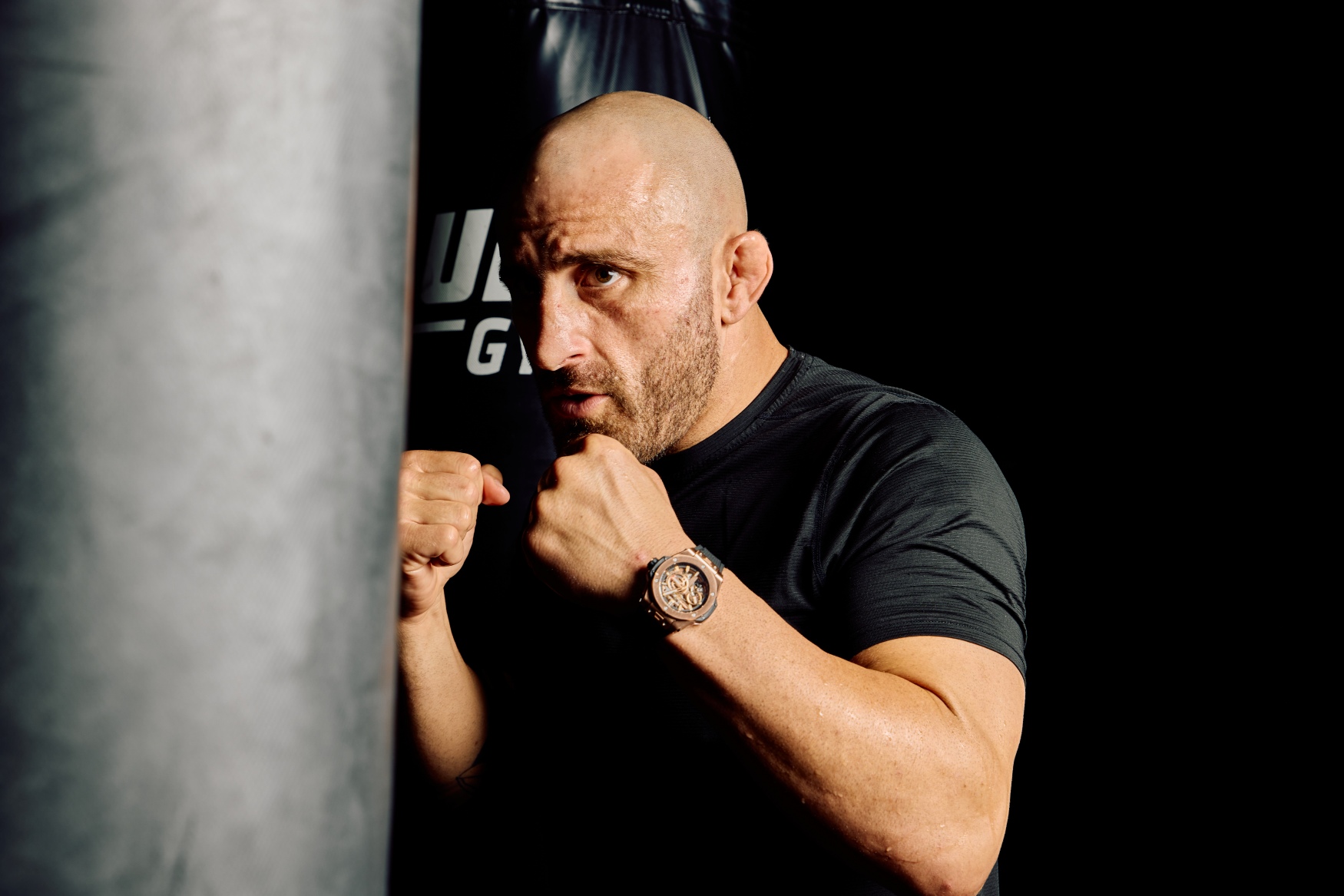 Alexander Volkanovski punching bag