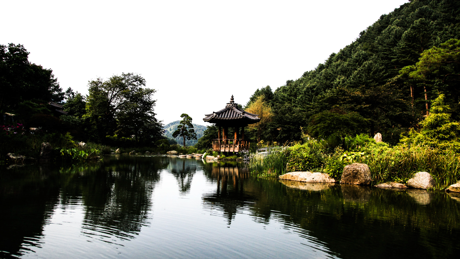 Status on the wrist: how I navigated watch etiquette in South Korea’s corporate culture