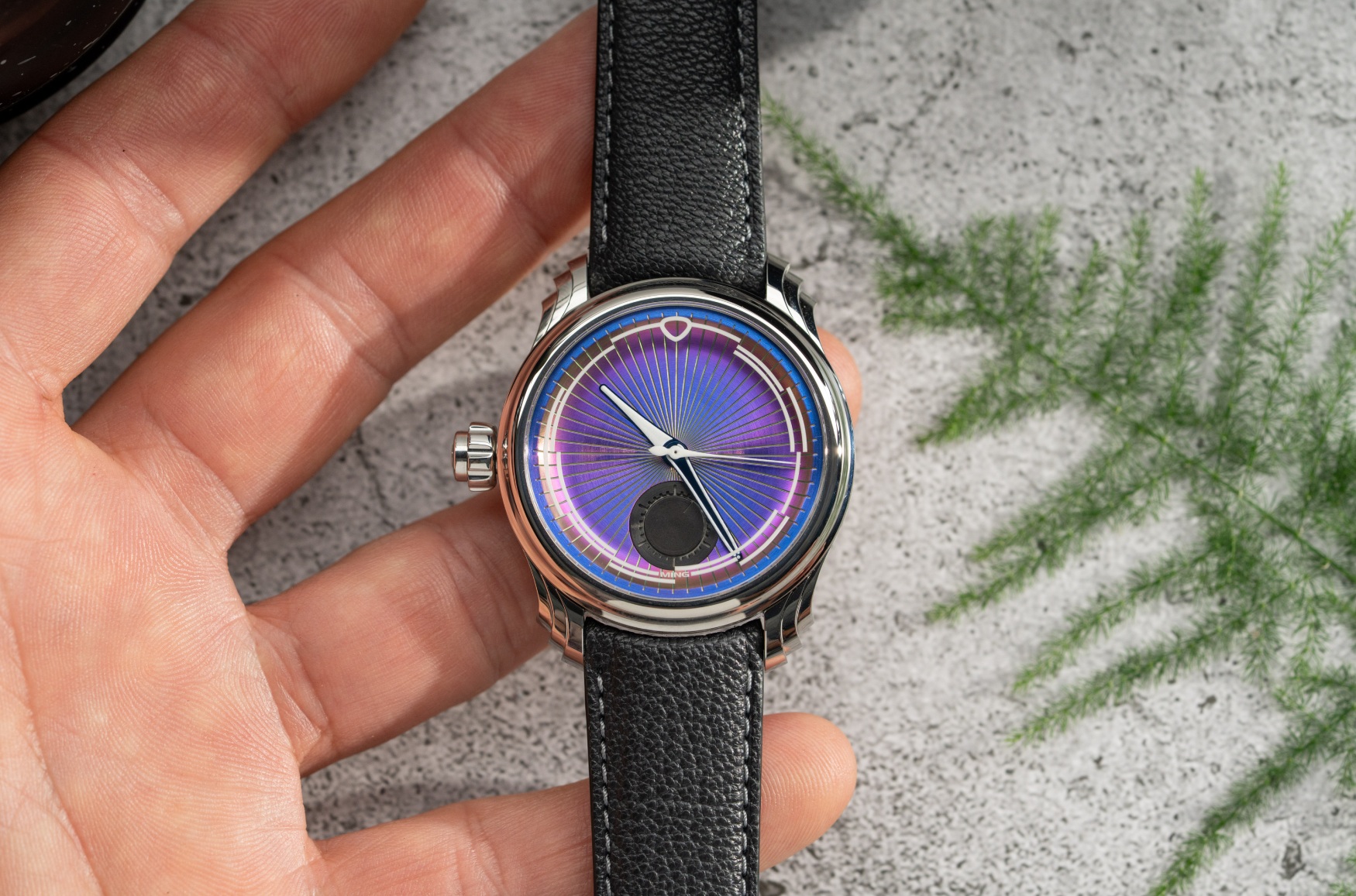Ming 57 04 Iris 5