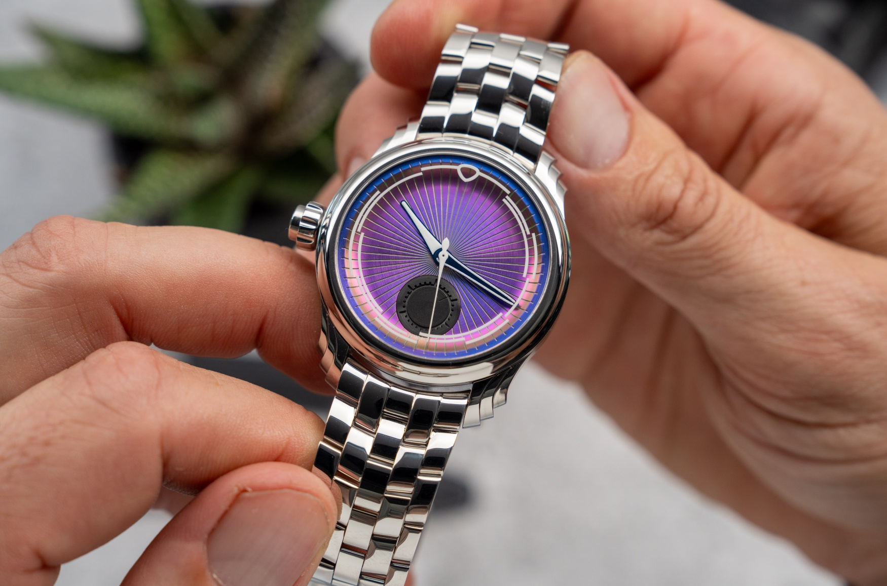 Ming 57 04 Iris 8