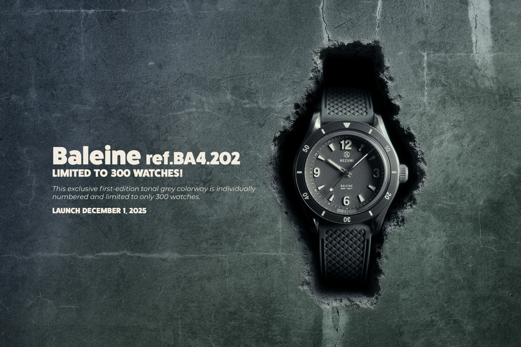 Nezumi Baleine BA4 202 chân trang