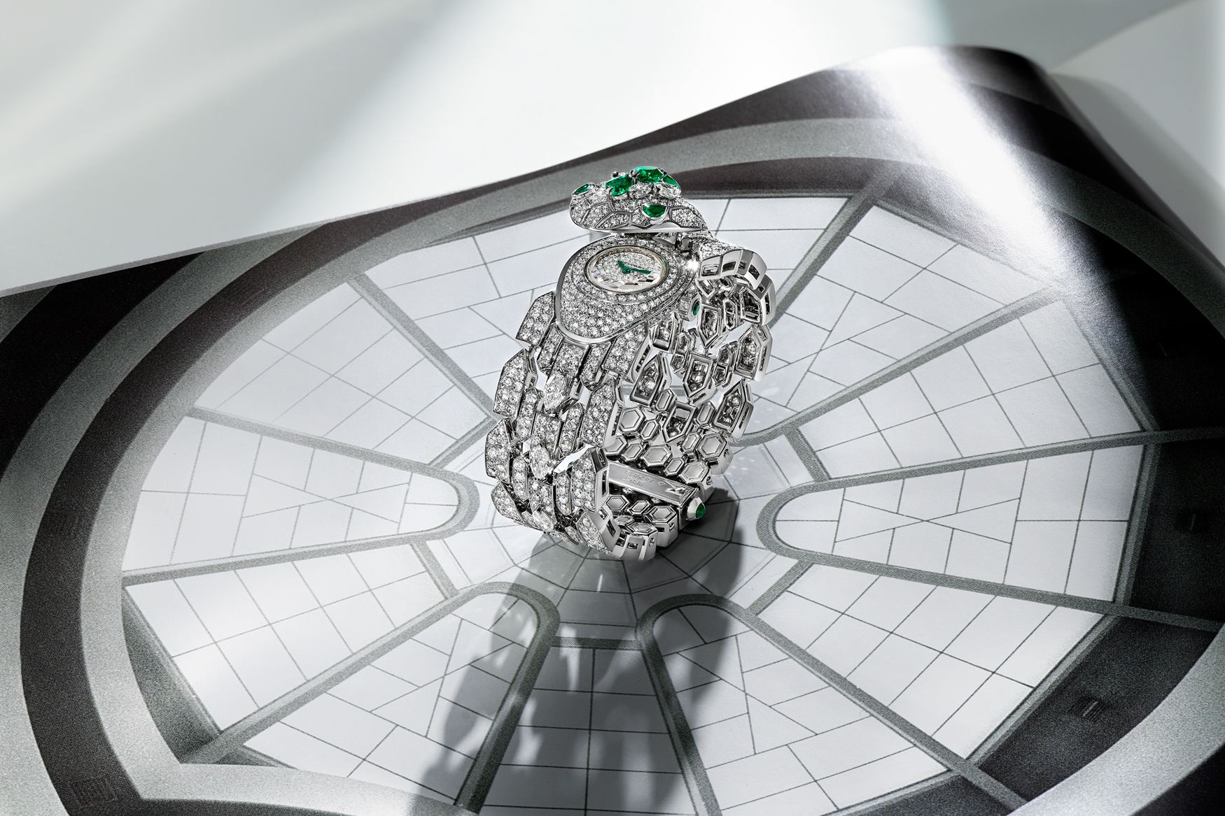 بولغري سيربنتي ديا أسلوب الحياة السري