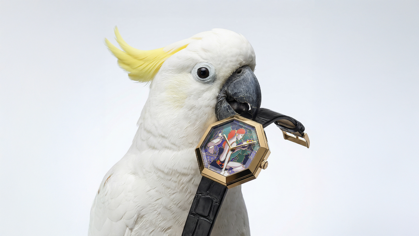 Art in 21 days: The Face in Time Paradis Tropical Collection