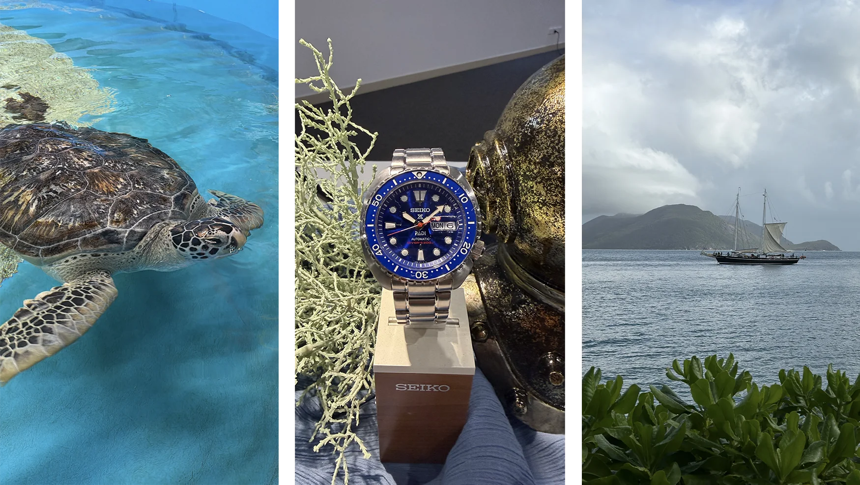 A visit to Cairns armed with the new Seiko PADI 60th Anniversary Limited Edition Diver