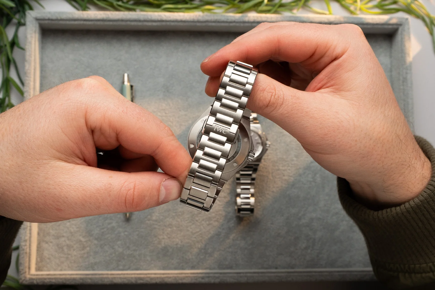 iwc ingeieur automatic 50th anniversary 5